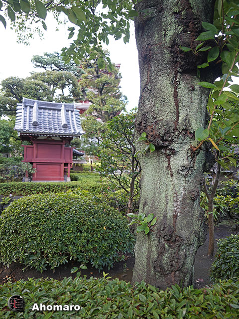写真00