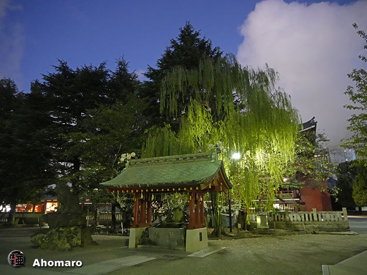 写真00