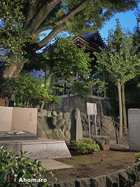 写真00