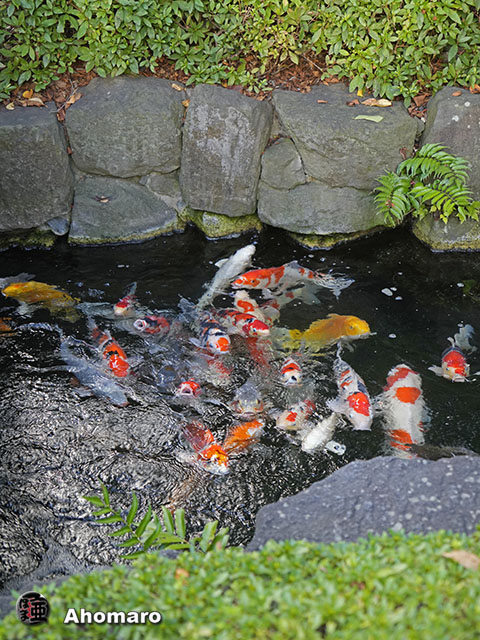 写真00