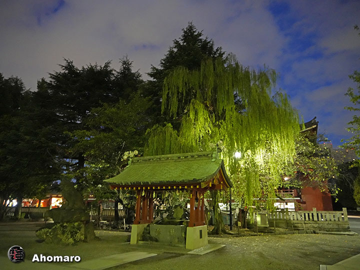 写真00