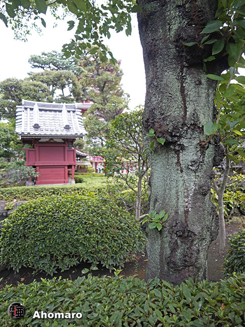 写真00