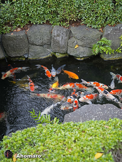 写真00