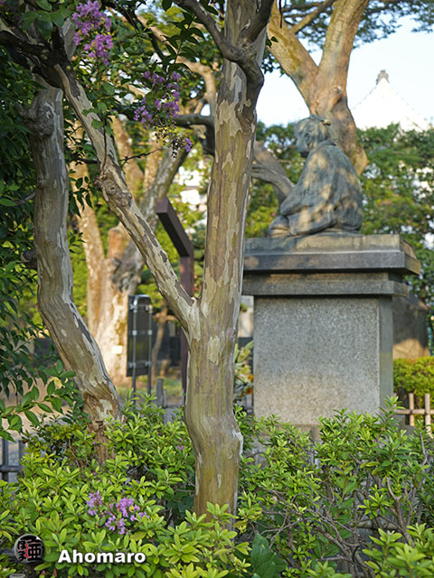 写真00