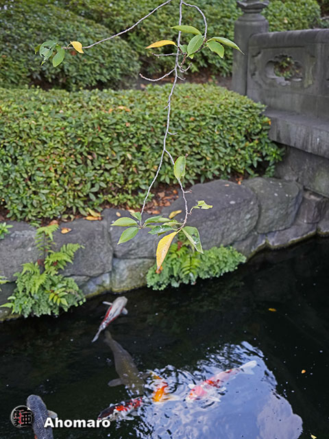写真00