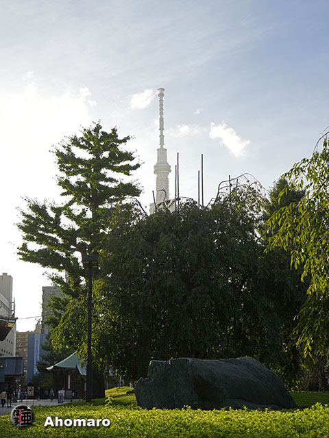 写真00