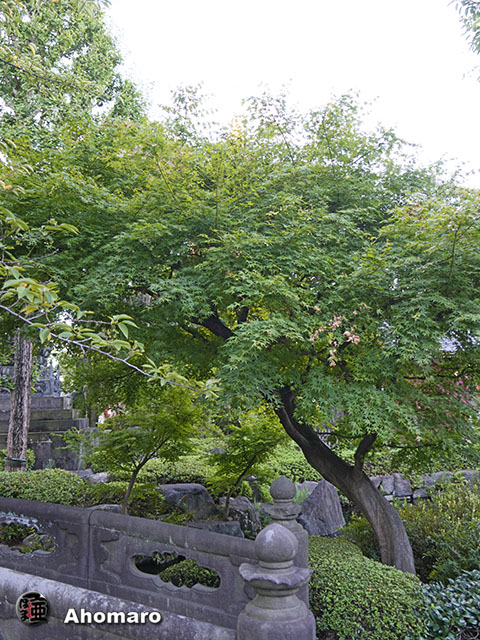 写真00