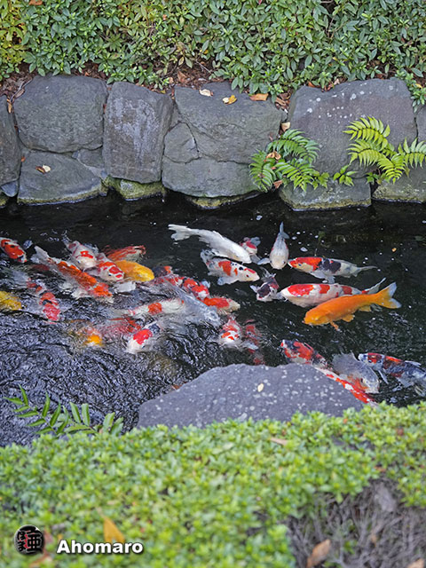 写真00