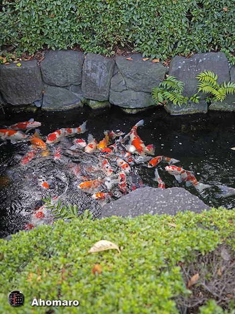 写真00