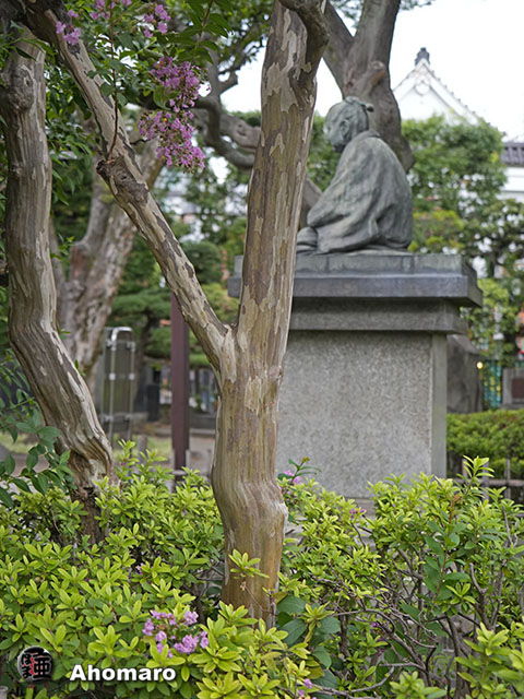 写真00