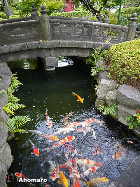 写真00