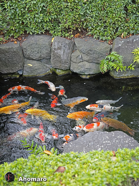 写真00