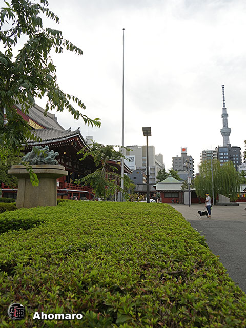 写真00