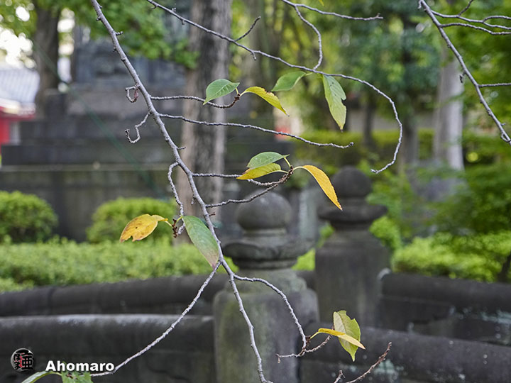 写真00