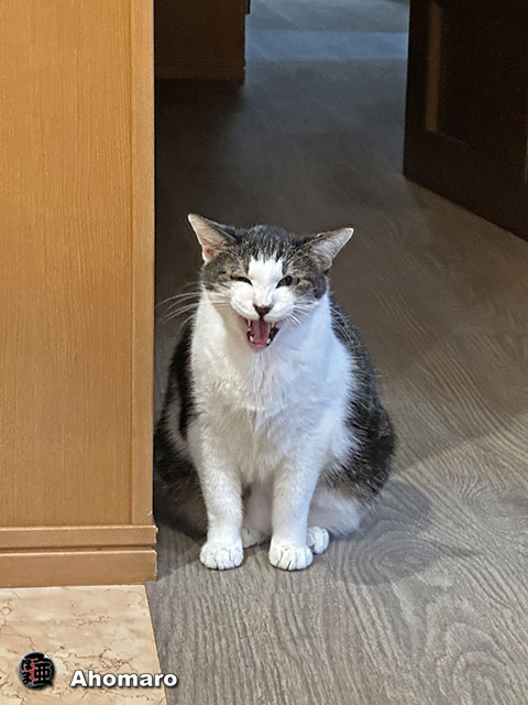 ʐ^00