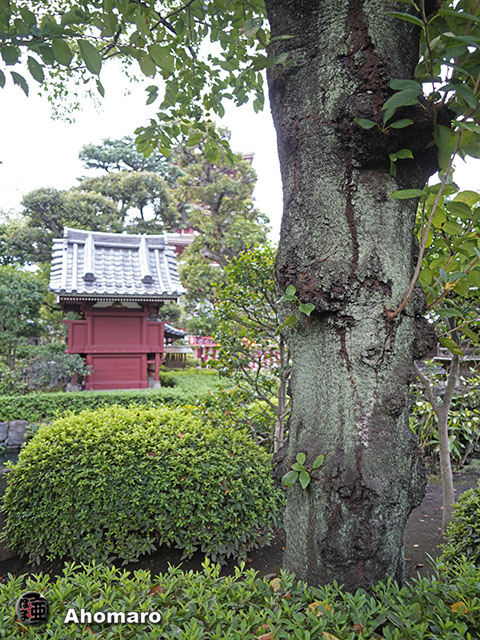 写真00