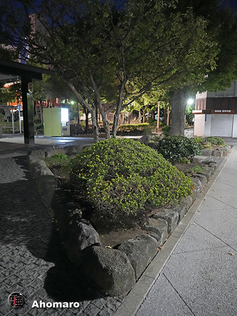 写真00