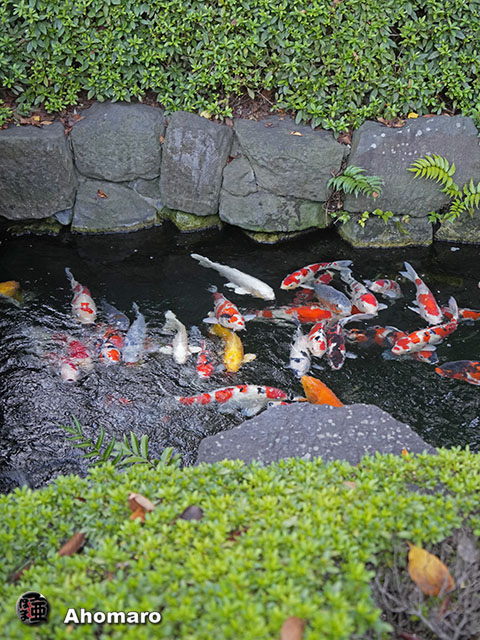 写真00