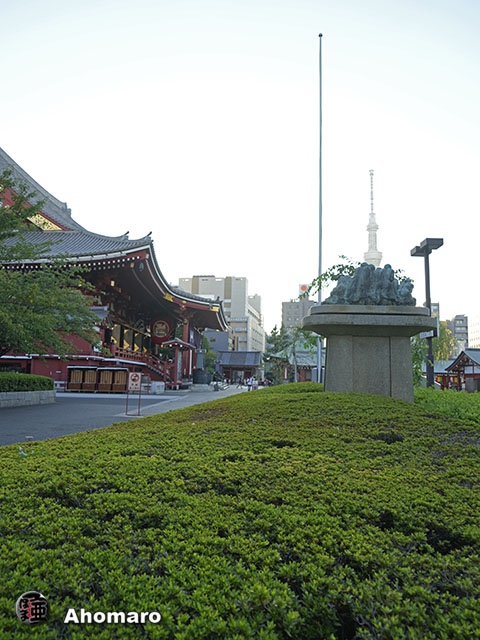 写真00