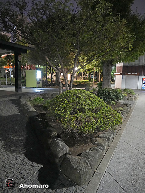 写真00