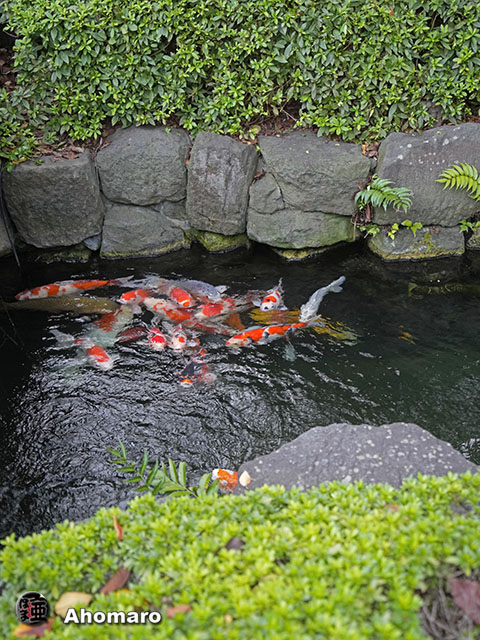 写真00