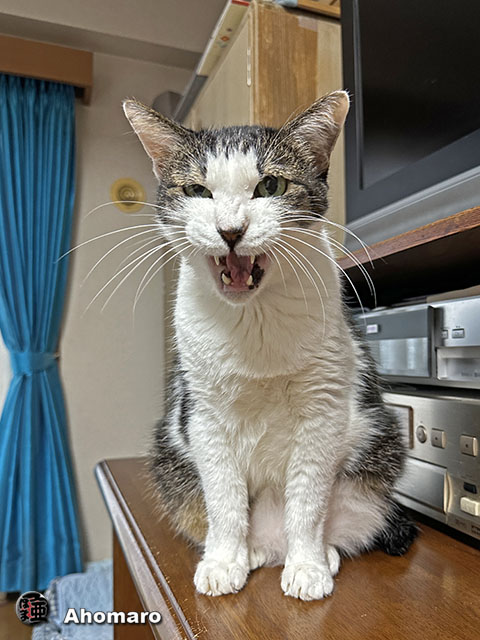 ʐ^00