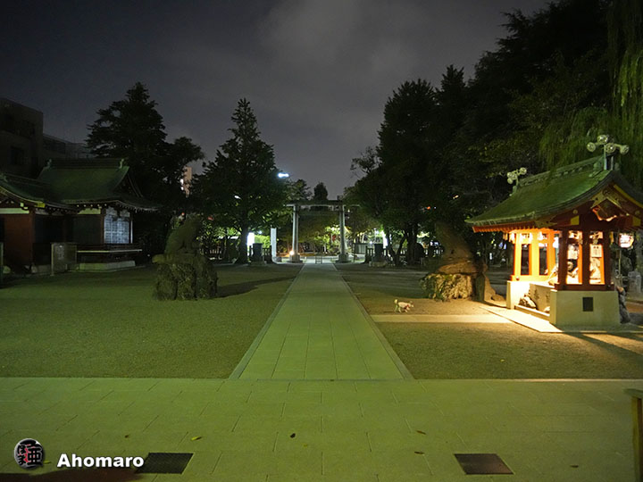写真00