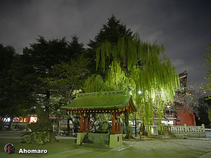 写真00