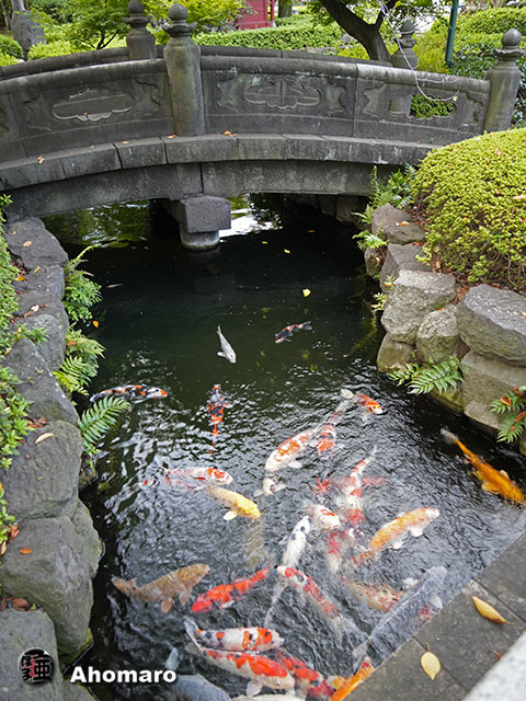 写真00
