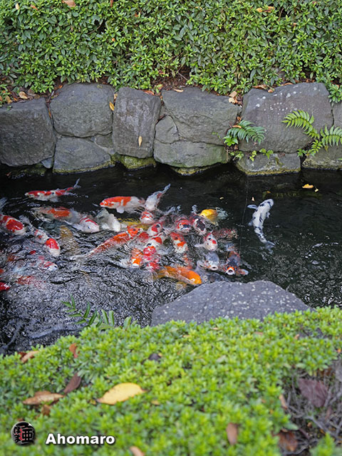 写真00