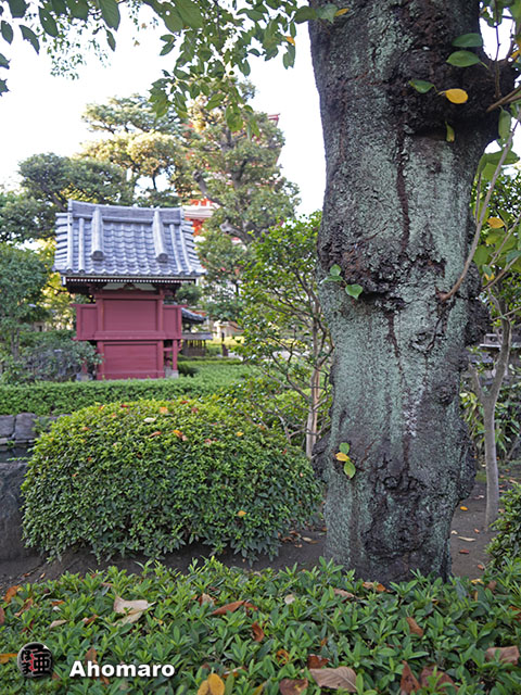 写真00