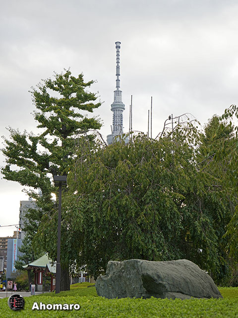 写真00