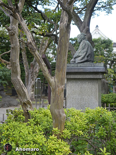 写真00