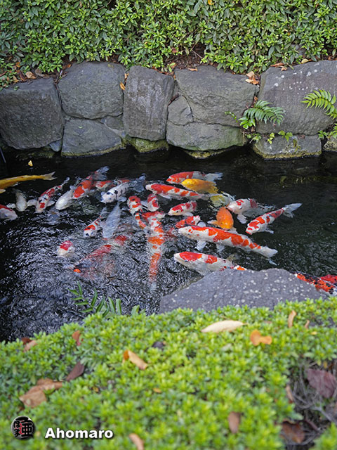 写真00
