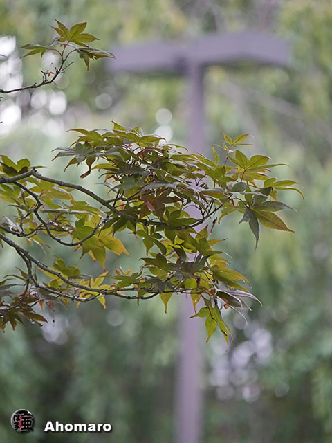 写真00