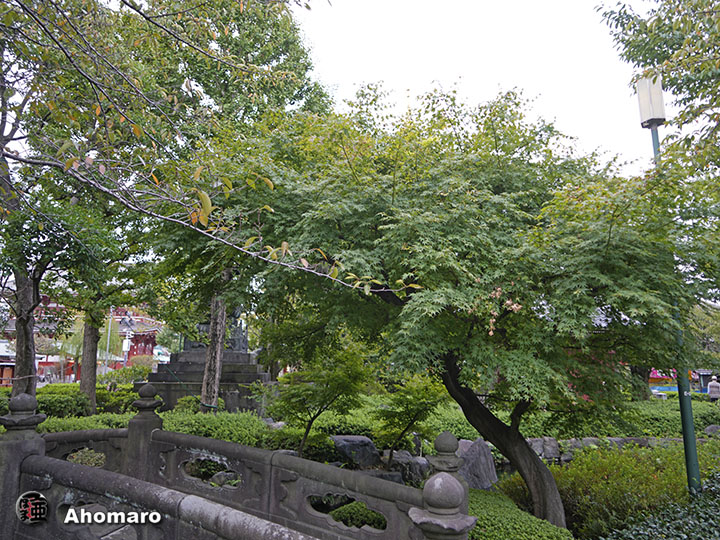 写真00