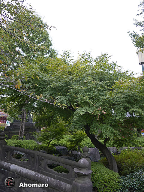 写真00