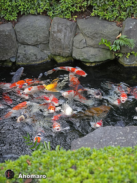 写真00