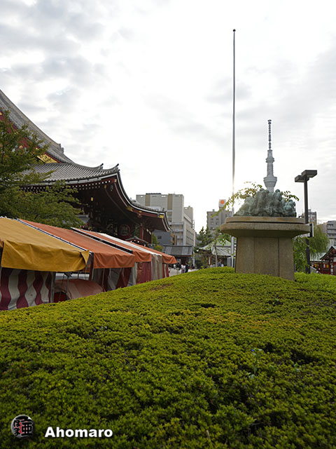 写真00