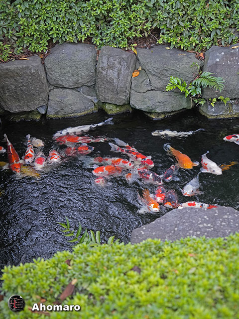 写真00