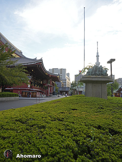 写真00