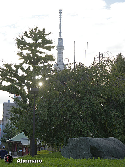 写真00