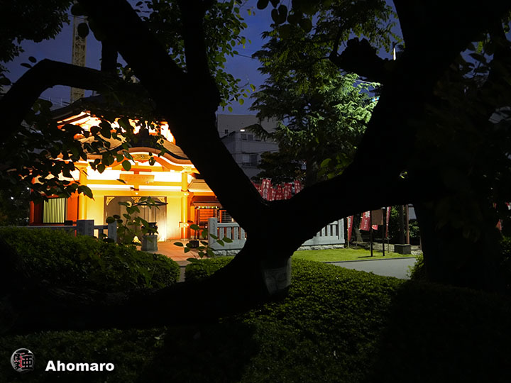 写真00