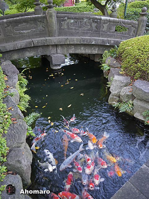 写真00