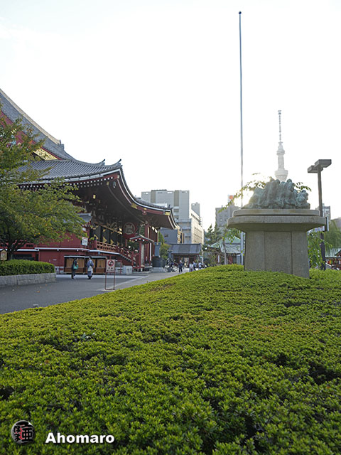 写真00