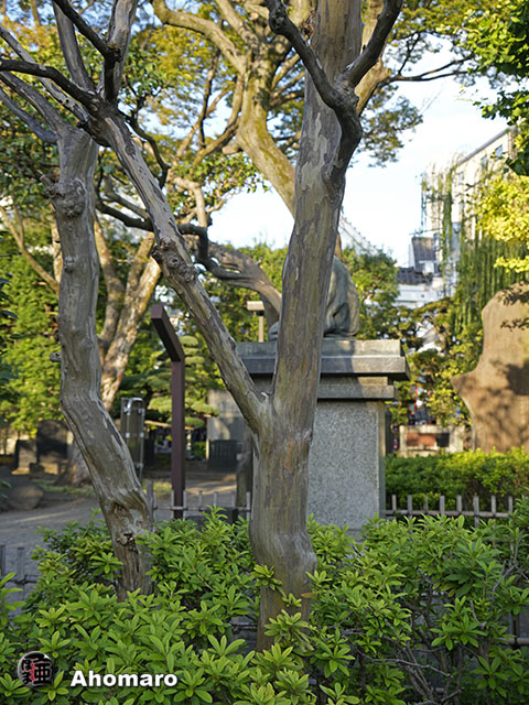 写真00