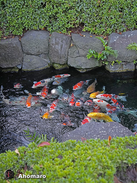 写真00