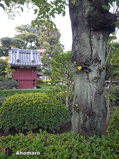 写真00
