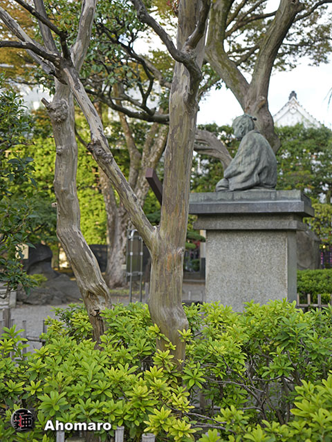 写真00