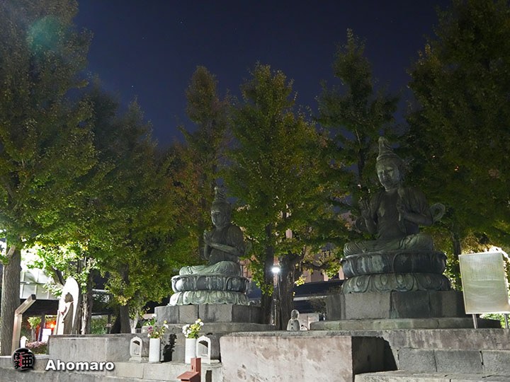 写真00
